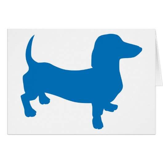 Blue Doxie, Dachshund (Front Horizontal)