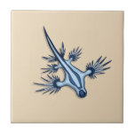 Blue Dragon Nudibranch Tile