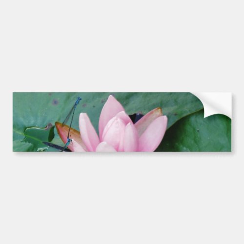 Blue Dragonflies on a pink lotus flower Bumper Sticker