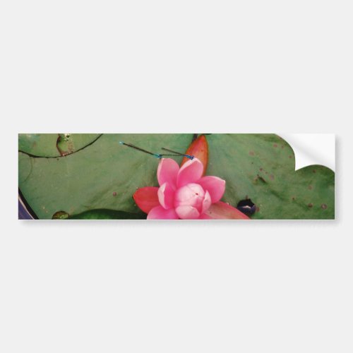 Blue Dragonflies on a pink lotus flower Bumper Sticker