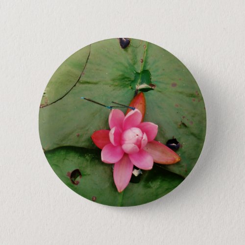 Blue Dragonflies on a pink lotus flower Button