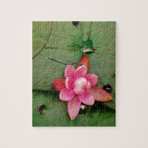 Blue Dragonflies on a pink lotus flower Jigsaw Puzzle