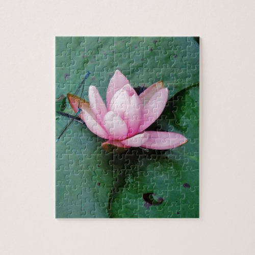 Blue Dragonflies on a pink lotus flower Jigsaw Puzzle