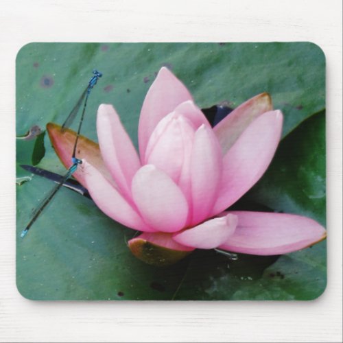 Blue Dragonflies on a pink lotus flower Mouse Pad