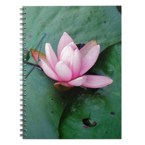 Blue Dragonflies on a pink lotus flower Notebook