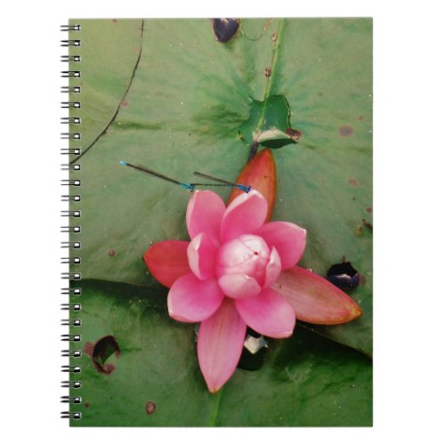 Blue Dragonflies on a pink lotus flower Notebook