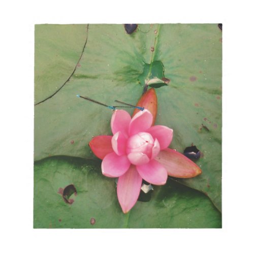 Blue Dragonflies on a pink lotus flower Notepad