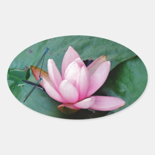 Blue Dragonflies on a pink lotus flower Oval Sticker