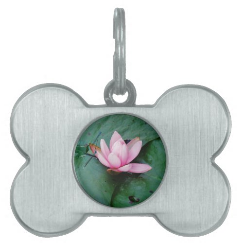 Blue Dragonflies on a pink lotus flower Pet Name Tag