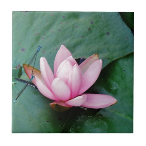Blue Dragonflies on a pink lotus flower Tile