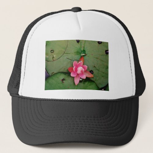 Blue Dragonflies on a pink lotus flower Trucker Hat