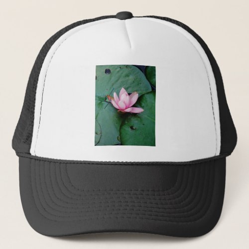 Blue Dragonflies on a pink lotus flower Trucker Hat