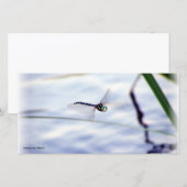 Blue Dragonfly (Front/Back)