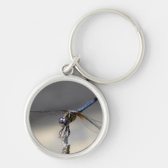 blue dragonfly-001 kc keychain (Front)