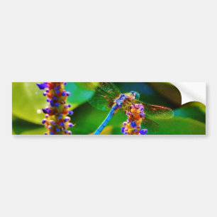 Blue Dragonfly and flowers Bumper Sticker