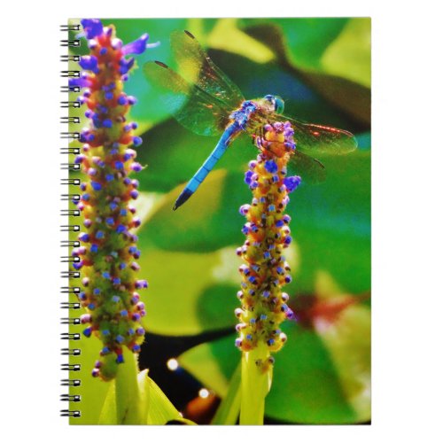 Blue Dragonfly and flowers Notebook