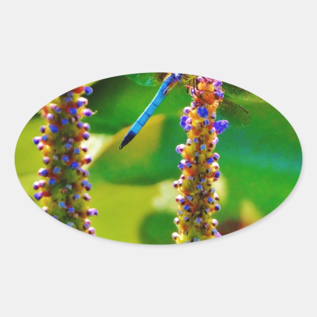 Blue Dragonfly and flowers Oval Sticker (Front)