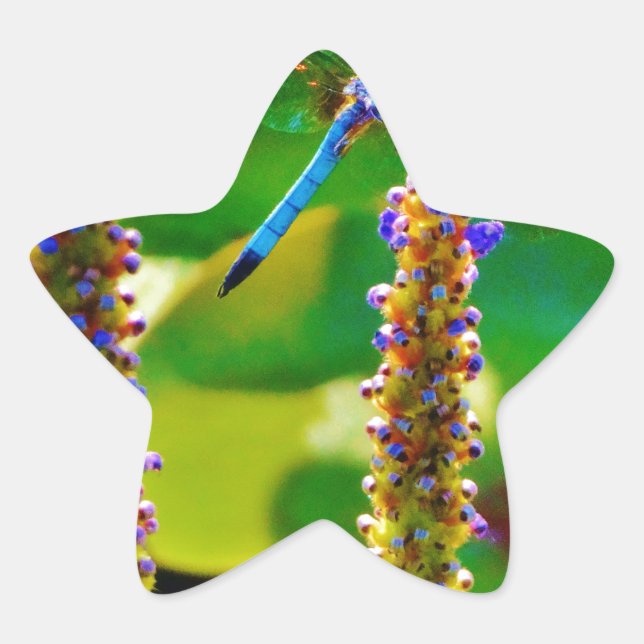 Blue Dragonfly and flowers Star Sticker (Front)