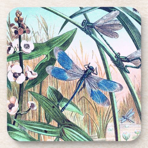 Blue Dragonfly at the pond vintage illustration  Beverage Coaster