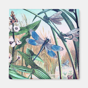 Blue Dragonfly at the pond vintage illustration  Magnet