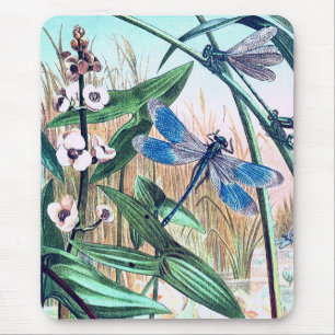 Blue Dragonfly at the pond vintage illustration Mouse Pad