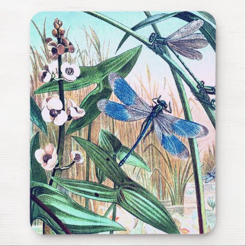 Blue Dragonfly at the pond vintage illustration  Mouse Pad