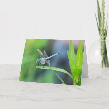 Blue Dragonfly Blank Greeting Card by AeshnidaeAesthetics at Zazzle