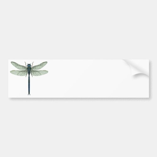 Blue Dragonfly Bumper Sticker
