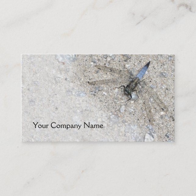 Blue dragonfly business card (Front)