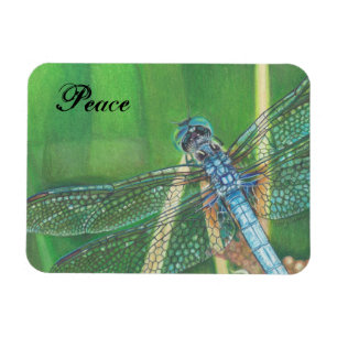 Blue Dragonfly color pencil art on Magnet