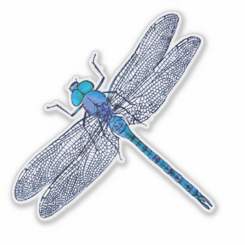 Blue Dragonfly Contour Sticker