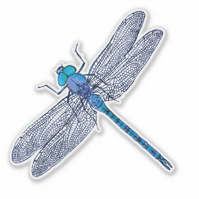 Blue Dragonfly Contour Sticker (Front)
