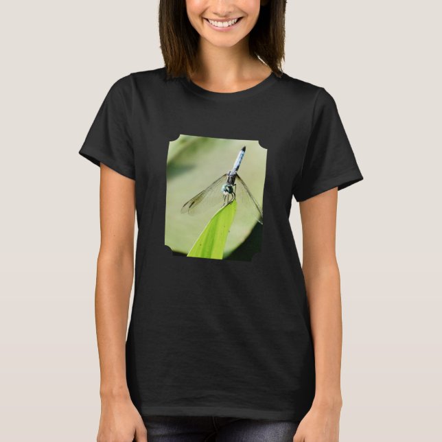 Blue Dragonfly green leaf Nature Photograph photo T-Shirt (Front)