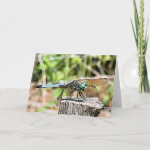 Blue Dragonfly Greeting Card