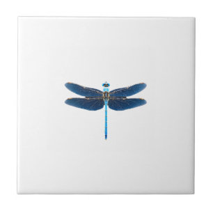 Blue Dragonfly - Insect Wildlife Animal Lover Ento Ceramic Tile