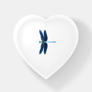 Blue Dragonfly - Insect Wildlife Animal Lover Ento Paperweight