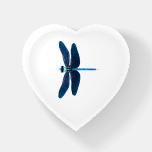 Blue Dragonfly - Insect Wildlife Animal Lover Ento Paperweight