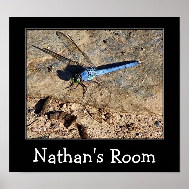 Blue Dragonfly Kids Room Personalized Poster (Front)