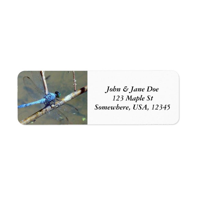 Blue DragonFly Label (Front)