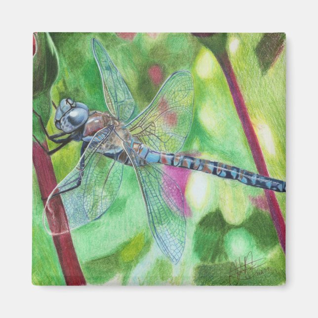 Blue Dragonfly Magnet (Front)