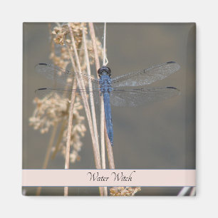 Blue dragonfly magnet