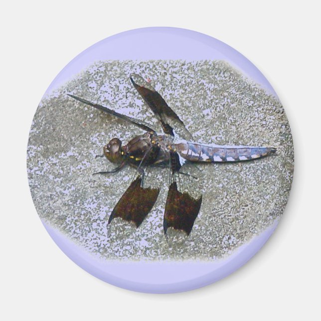 Blue Dragonfly Magnet (Front)
