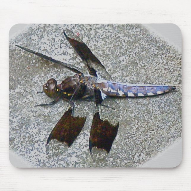 Blue Dragonfly Mousepad (Front)
