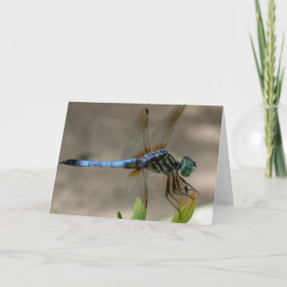 Blue Dragonfly Notecard