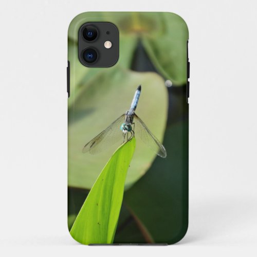 Blue Dragonfly on a green leaf iPhone 11 Case