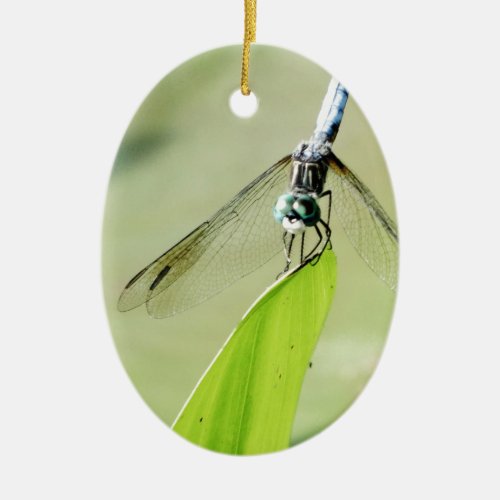 Blue Dragonfly on a green leaf Ceramic Ornament