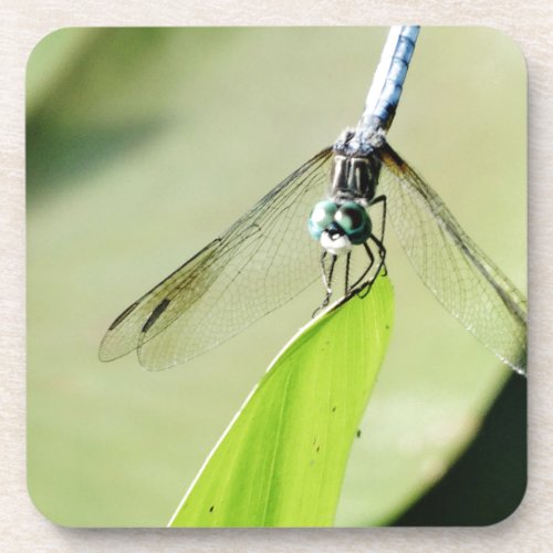 Blue Dragonfly on a green leaf Drink Coaster