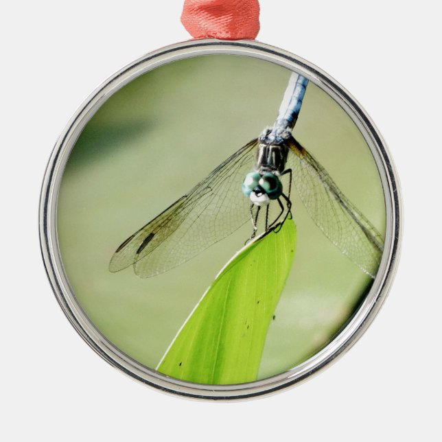 Blue Dragonfly on a green leaf Metal Ornament (Front)