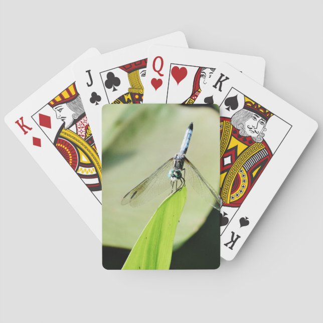 Blue Dragonfly on a green leaf Poker Cards (Back)
