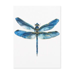 Blue dragonfly  postcard